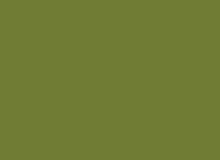 Corian Blomming Green