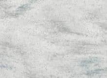 Corian Arrowroot