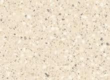 Corian Fossil