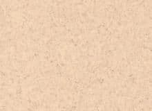 Corian Mojave