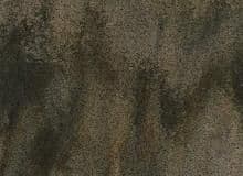 Corian Sorrel