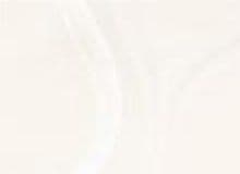 Corian Venaro White