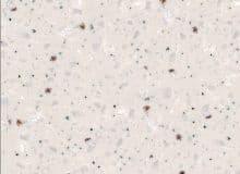 Hi-Macs G102 Gray Crystal