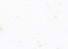 Staron PS813 Pebble Swan