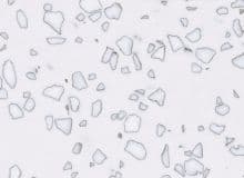 Staron QD212 Mosaic Dalmatian